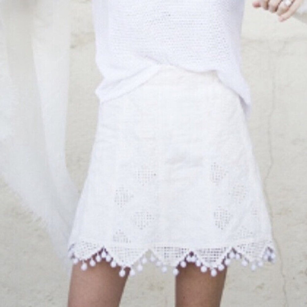 Calypso St. Barth Embroidered Mini Skirt